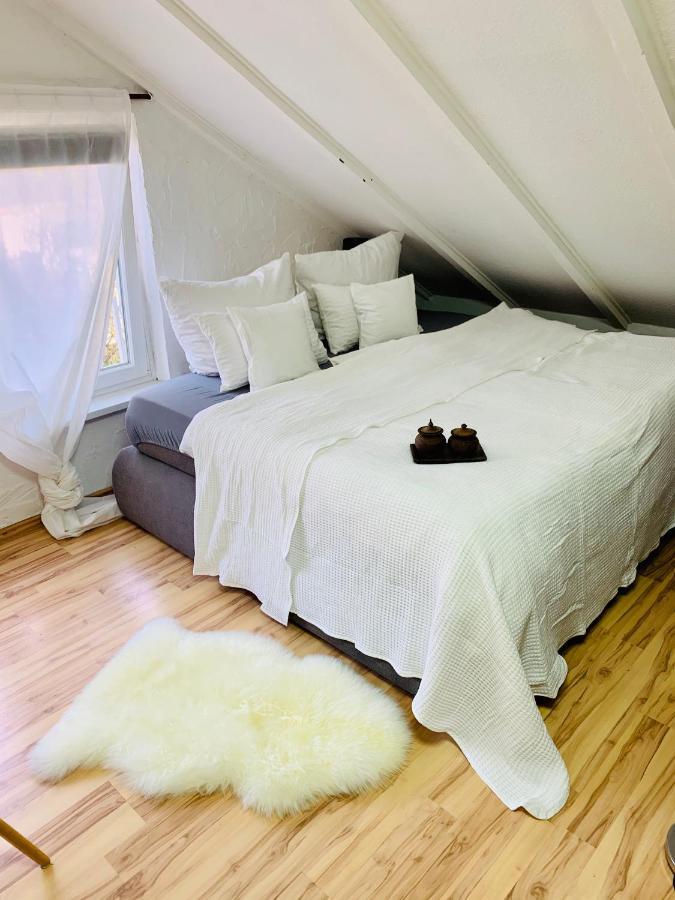 Studio Apartment In Direkter Naehe Zur Uniklinik Homburg هومبورغ المظهر الخارجي الصورة