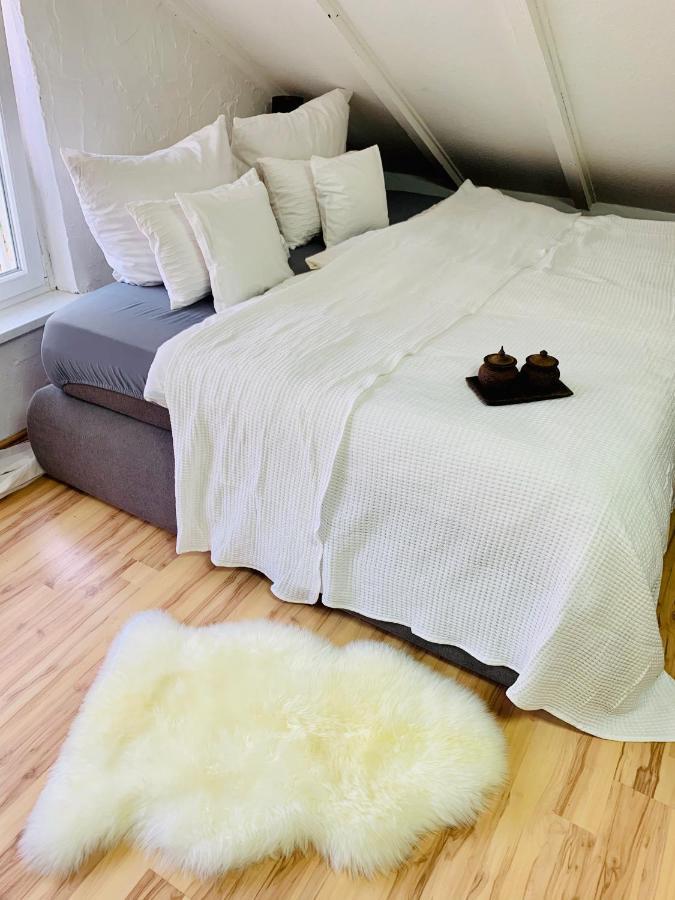 Studio Apartment In Direkter Naehe Zur Uniklinik Homburg هومبورغ المظهر الخارجي الصورة