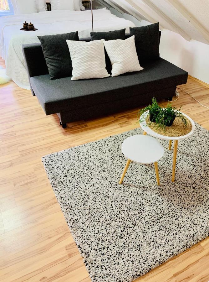Studio Apartment In Direkter Naehe Zur Uniklinik Homburg هومبورغ المظهر الخارجي الصورة