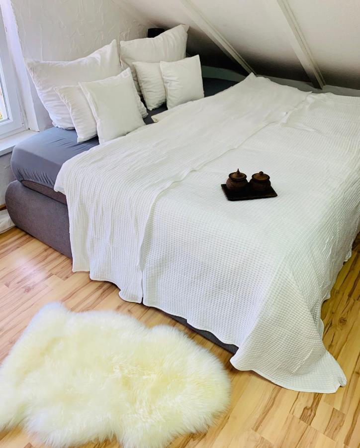 Studio Apartment In Direkter Naehe Zur Uniklinik Homburg هومبورغ المظهر الخارجي الصورة