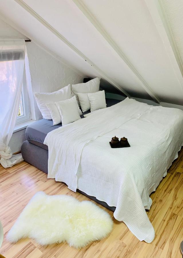 Studio Apartment In Direkter Naehe Zur Uniklinik Homburg هومبورغ المظهر الخارجي الصورة